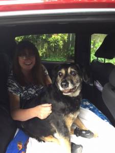 Second Chance Kennels