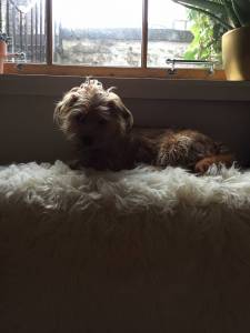 Maisie xx