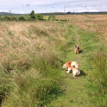 Holly and Heidi xx